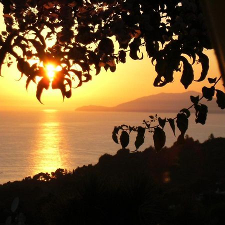 Villa Mimosa Resort 阿纳卡普里 外观 照片