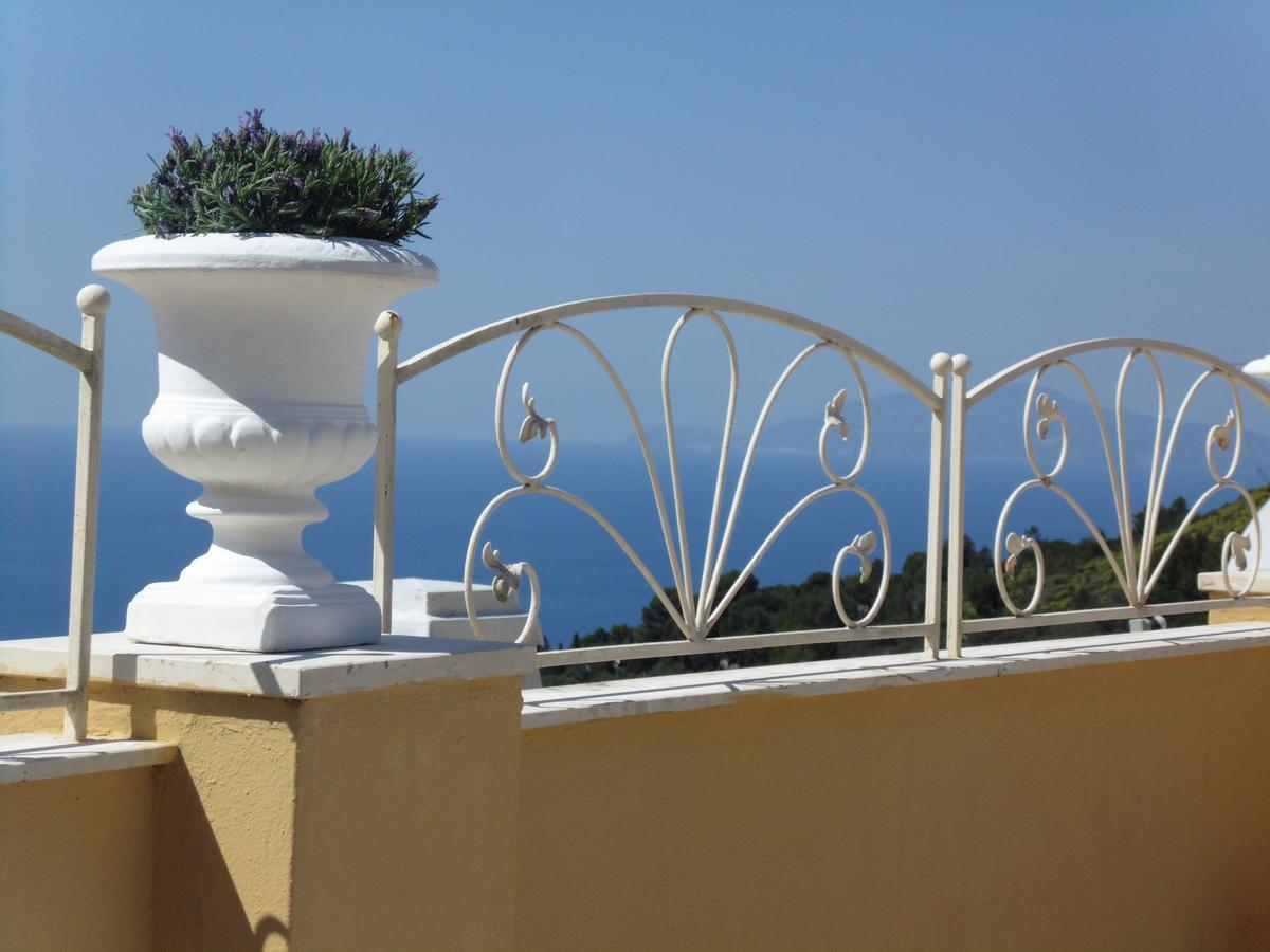Villa Mimosa Resort 阿纳卡普里 外观 照片