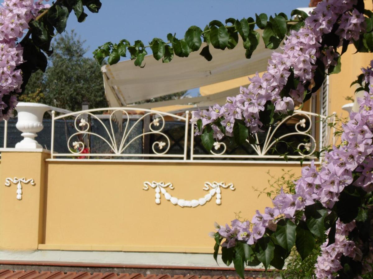 Villa Mimosa Resort 阿纳卡普里 外观 照片