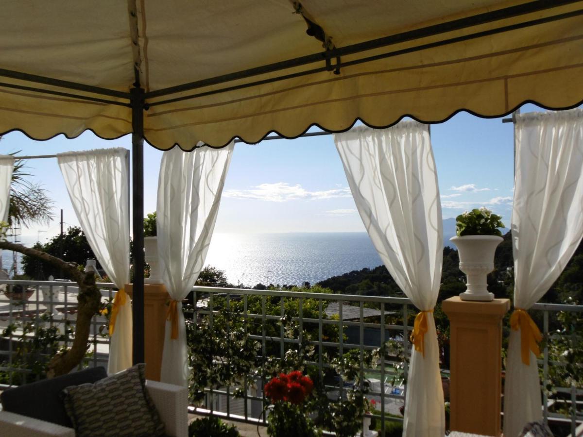 Villa Mimosa Resort 阿纳卡普里 外观 照片