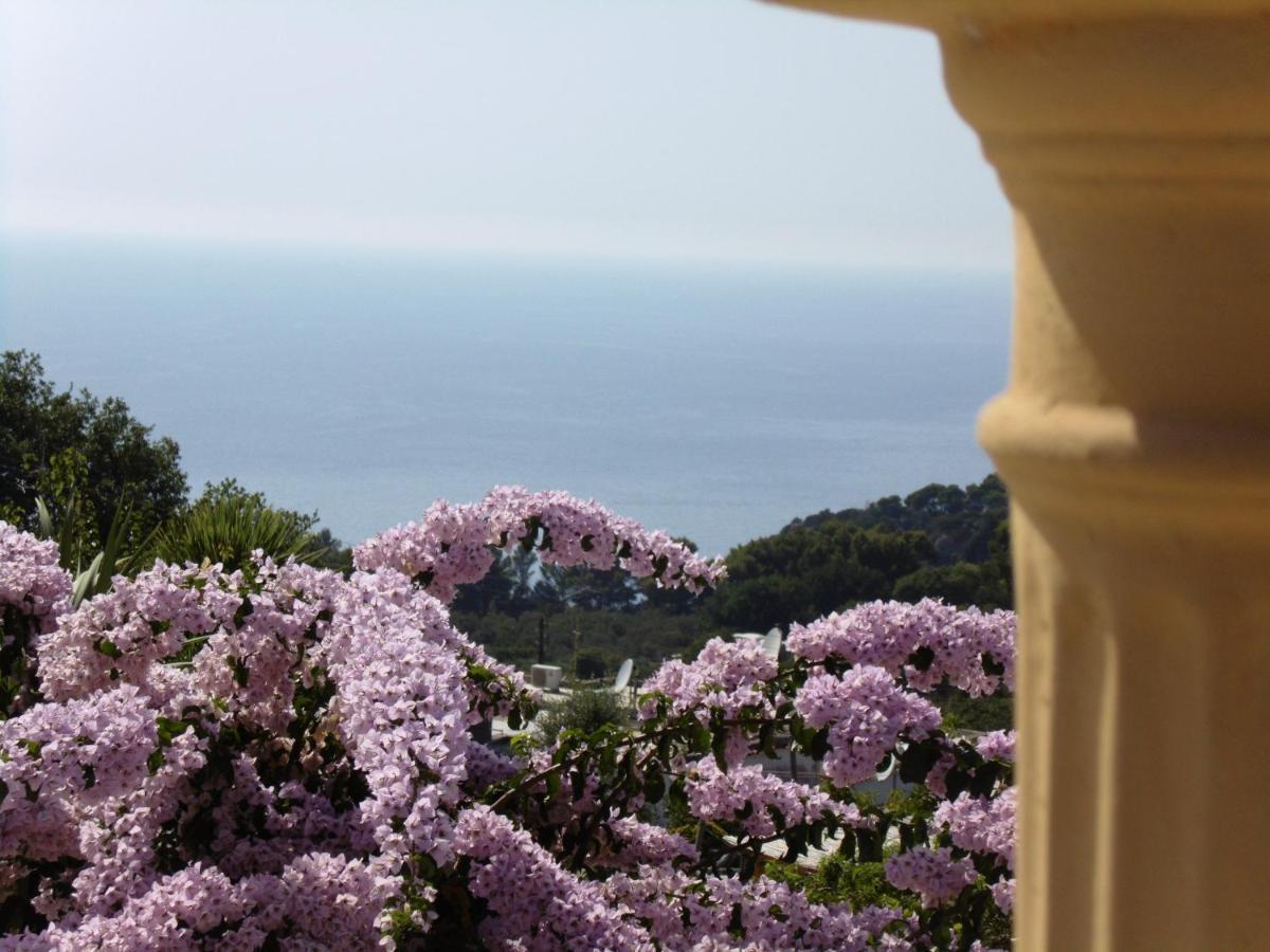Villa Mimosa Resort 阿纳卡普里 外观 照片