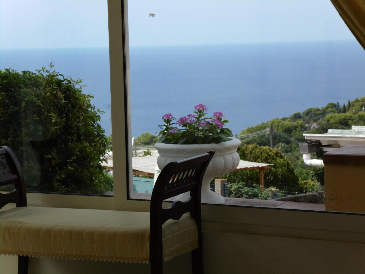 Villa Mimosa Resort 阿纳卡普里 外观 照片