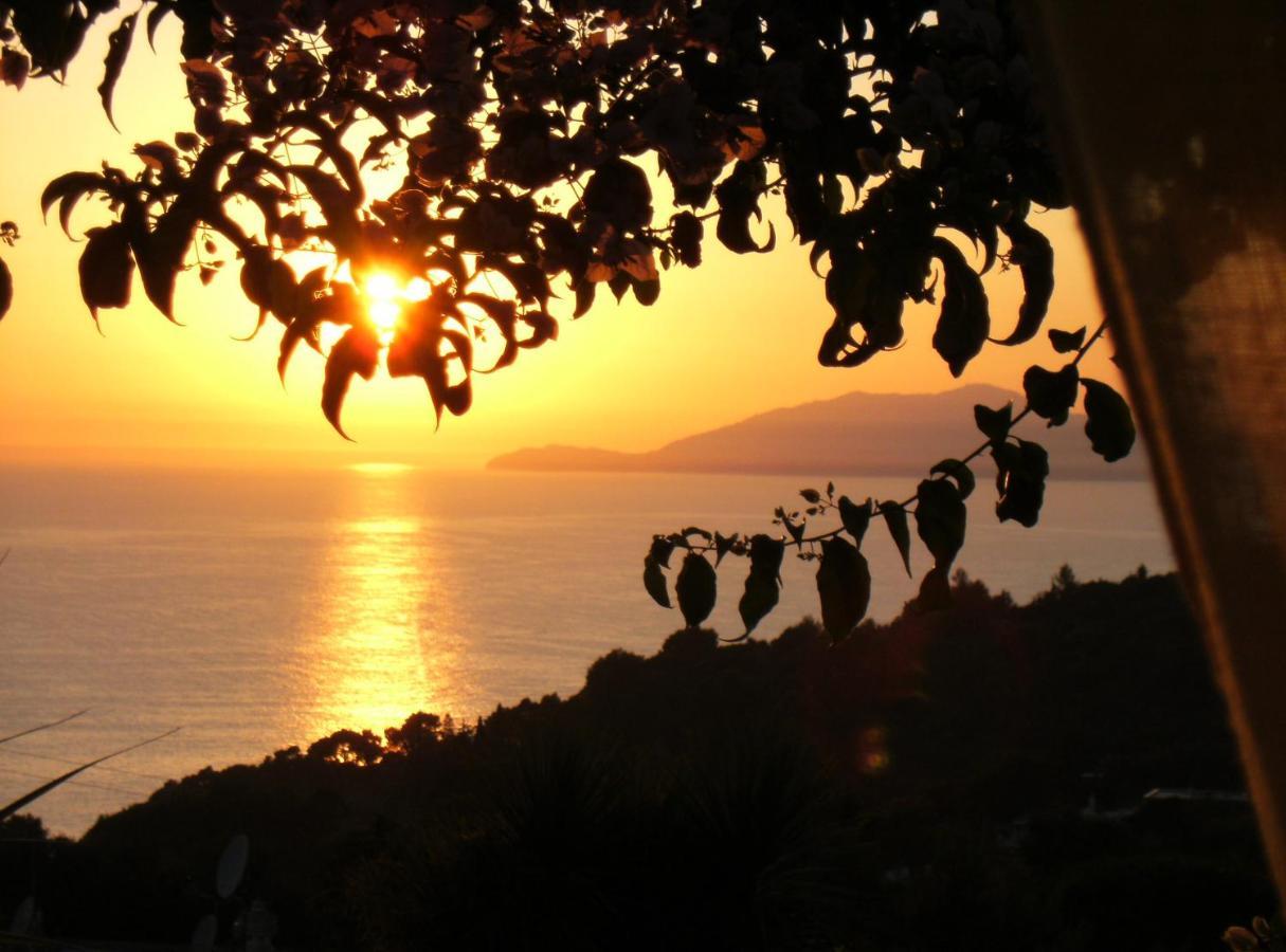 Villa Mimosa Resort 阿纳卡普里 外观 照片
