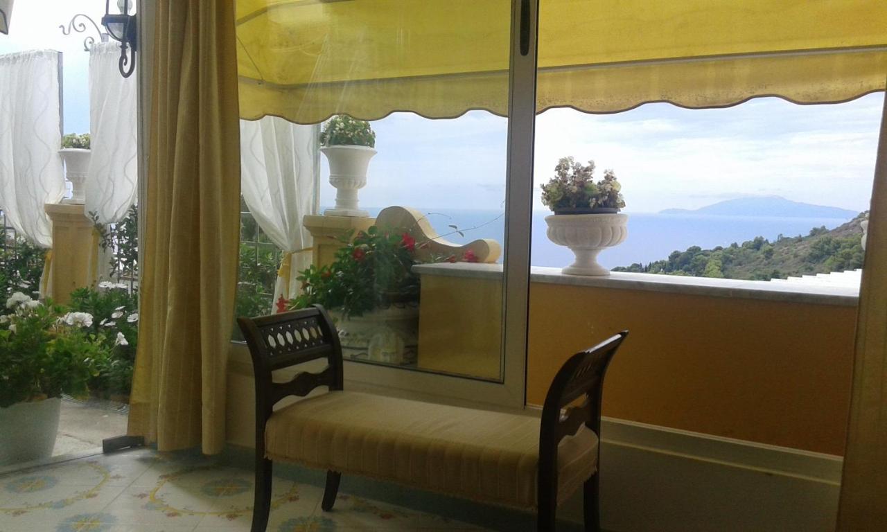 Villa Mimosa Resort 阿纳卡普里 外观 照片