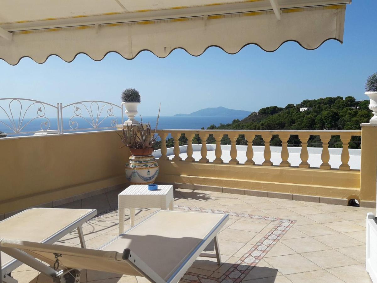 Villa Mimosa Resort 阿纳卡普里 外观 照片
